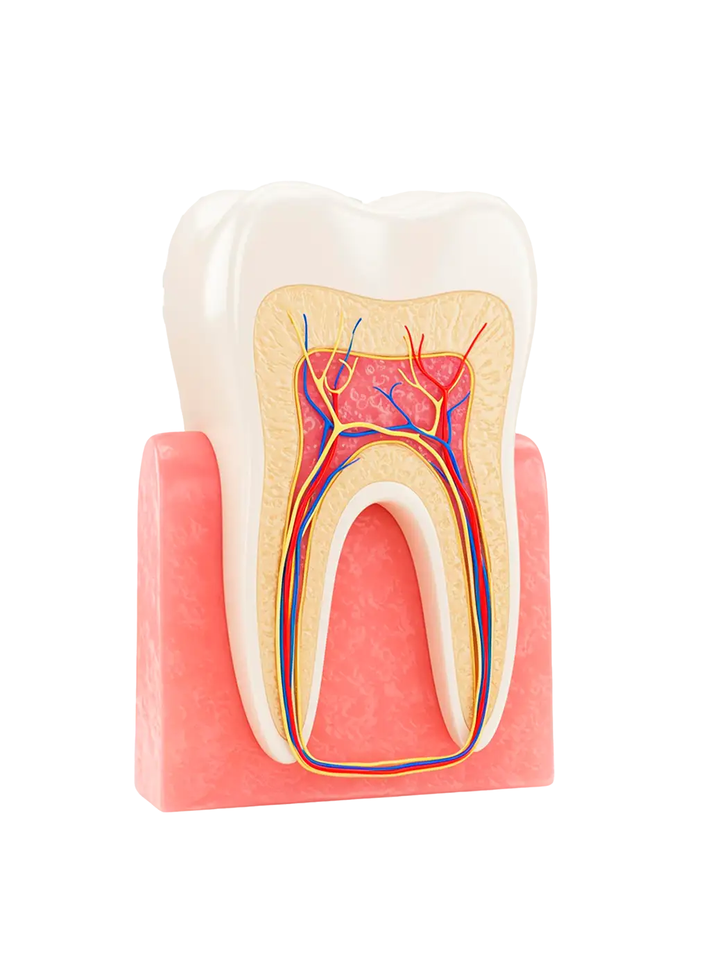 tratamento de canal rio do sul