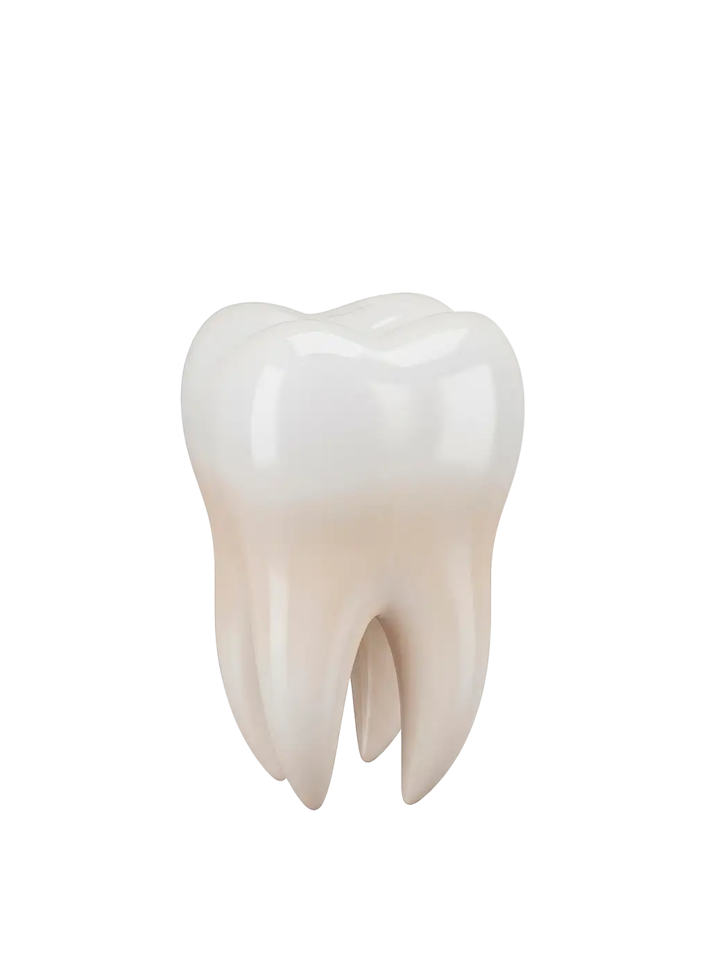 coroas de porcelana rio do sul